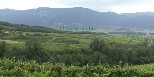 vipavska-dolina-toliko-vsega
