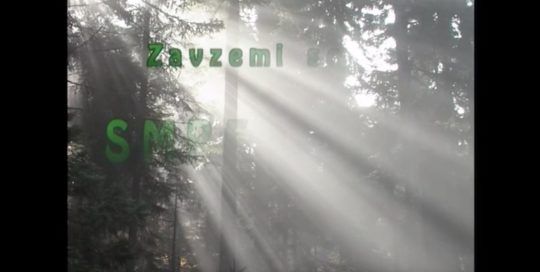 zavzemi-se-za-smrekovec
